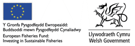 European Fisheries Fund: Investing in sustainable fisheries | Welsh Government